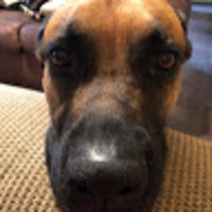 Meet your Posher, Malena